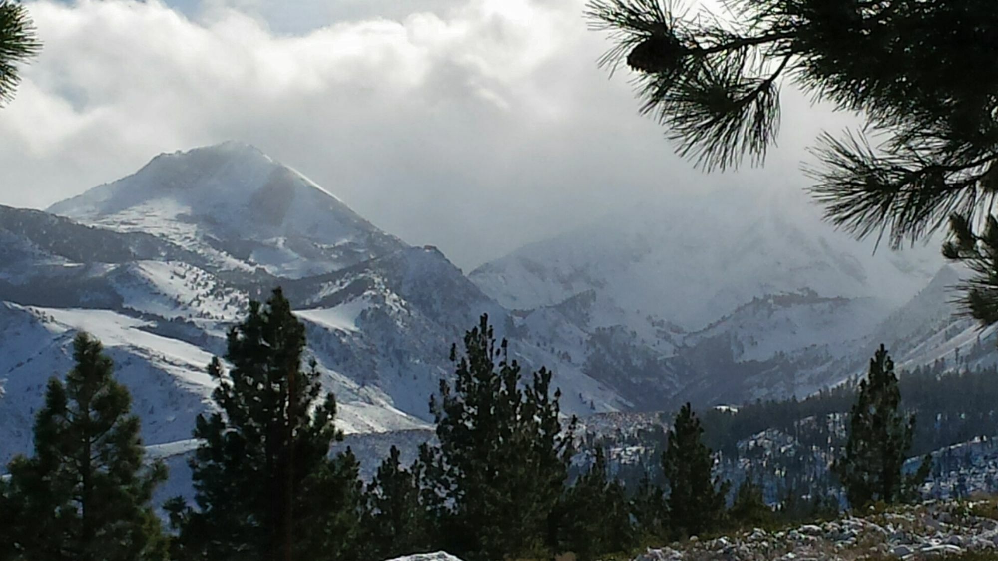 The Mammoth Creek Inn Mammoth Lakes Kültér fotó